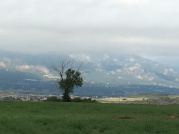 Colorado Springs Mountain View