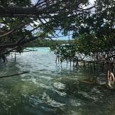 Ride to Keys 2019 fifth day--ride around Key West Kayak adventure 5